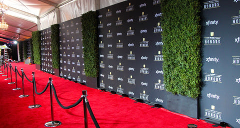 Custom printed step and repeat banners at red carpet event.